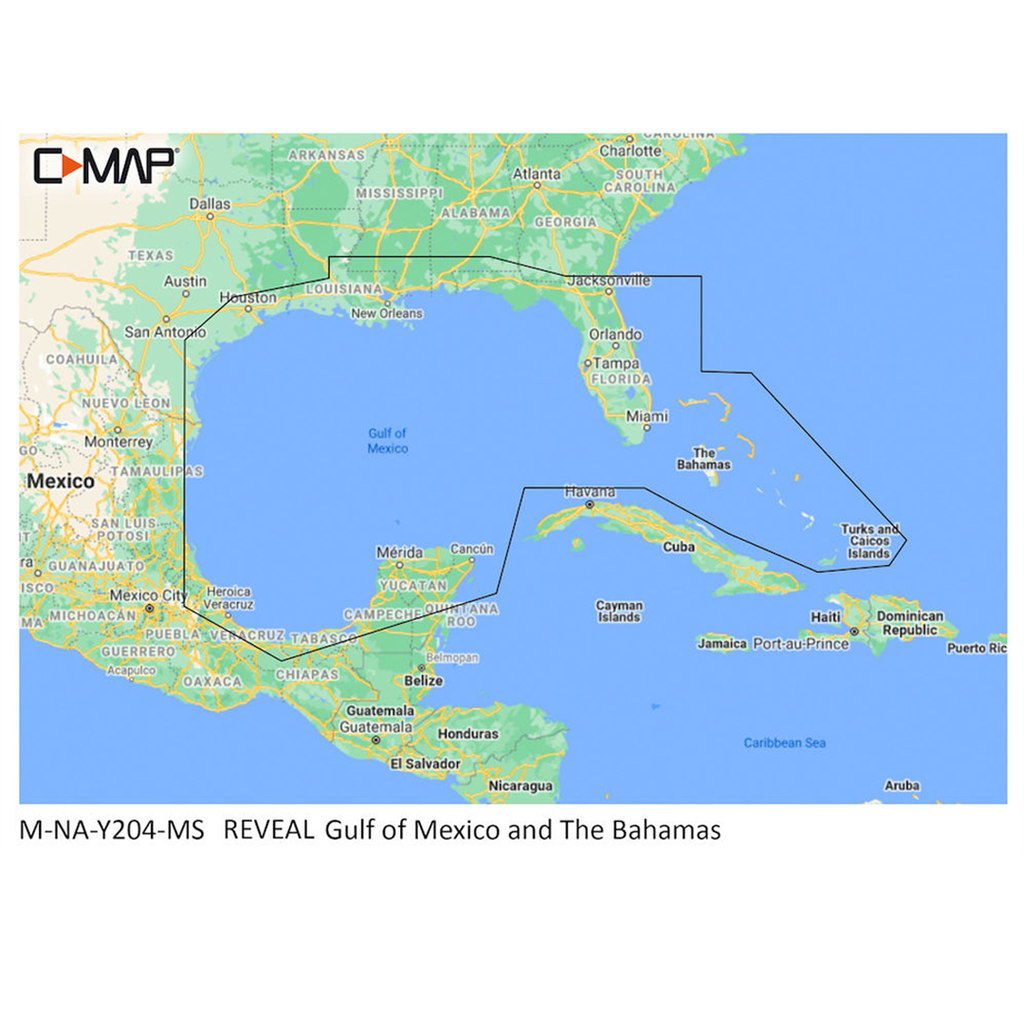 C-Map MNAY204MS