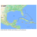 C-Map MNAY204MS